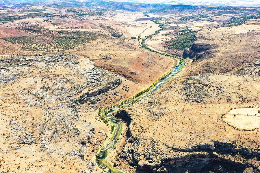 Turkey, man planted thousands of trees during 23 years
