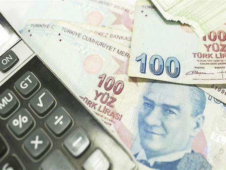 economía y PIB, lira turca