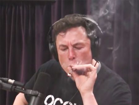 Elon Musk fumando marihuana