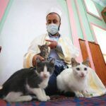 Turkey, mosque is a haven for stray cats