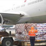 Turkish Airlines, transporte de carga