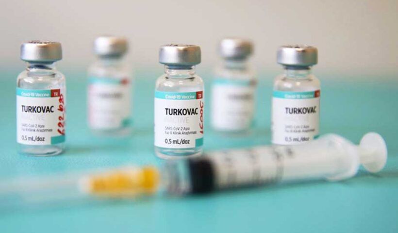 Turkish coronavirus vaccine Turkovac