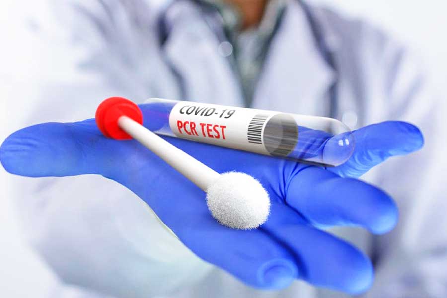 coronavirus, PCR test