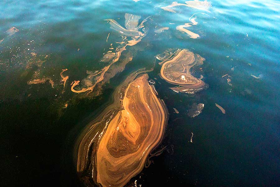 Estambul, contaminación por mucílago marino