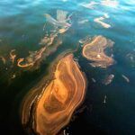 Istanbul, sea pollution, sea snot