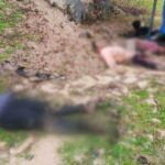 Turkey, migrants frozen to death in the frontier