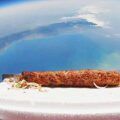 Turkey, Turkish kebab sent to space