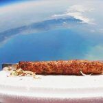 Turkey, Turkish kebab sent to space
