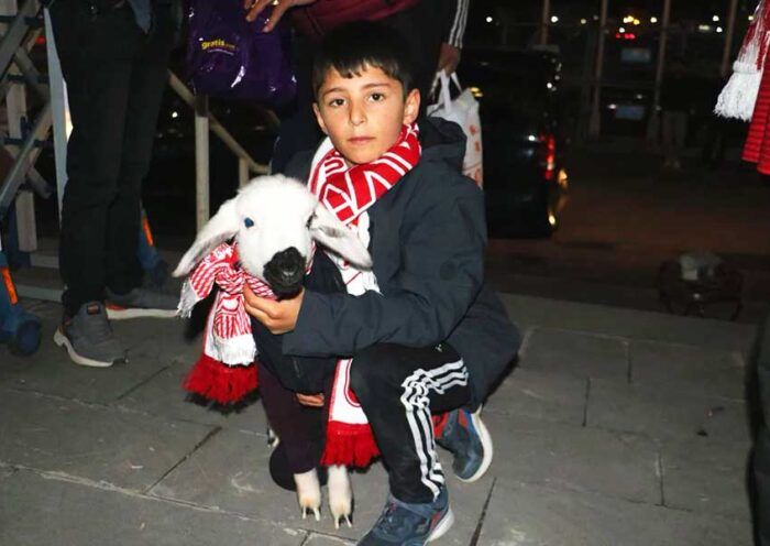Turkey, a lamb in a football match