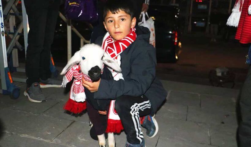 Turkey, a lamb in a football match