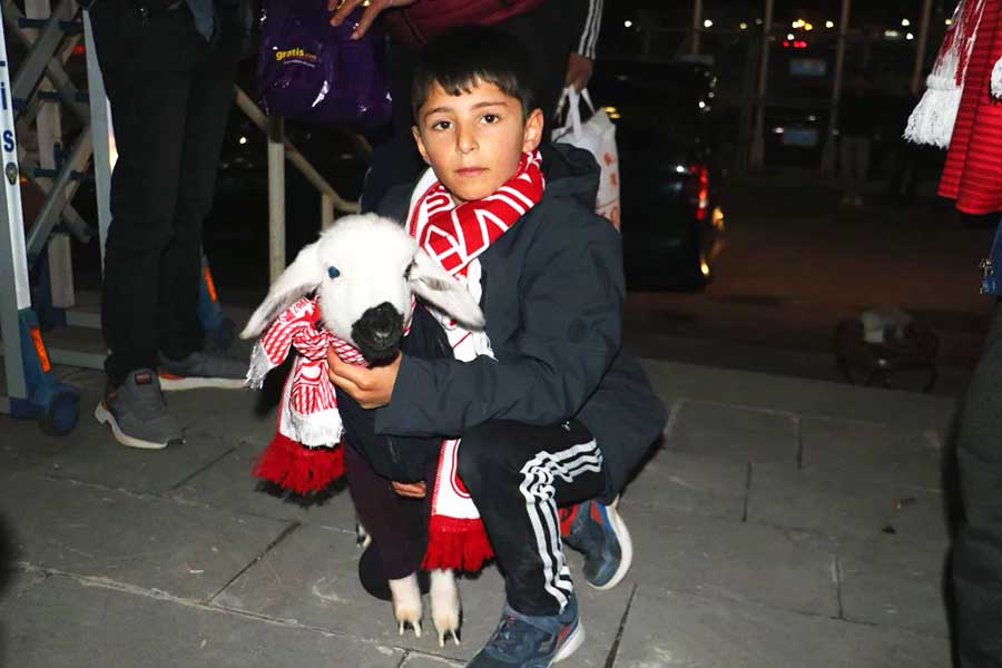 Turkey, a lamb in a football match