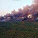 Turkey, forest fire in Marmaris