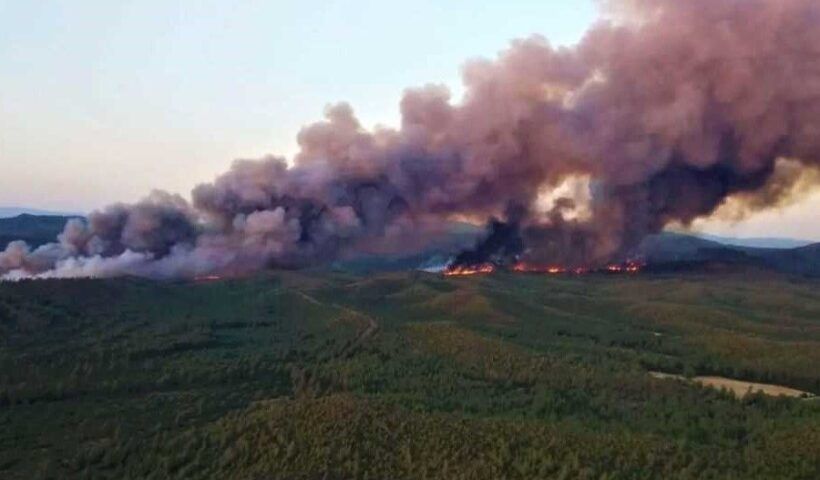 Turkey, forest fire in Marmaris