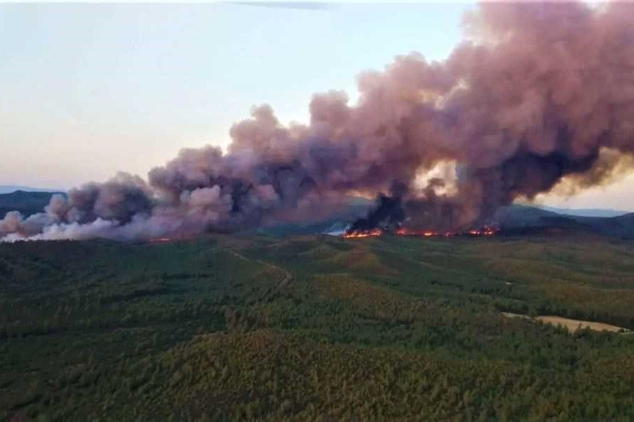 Turquía, incendio forestal en Marmaris