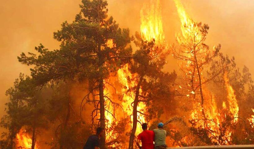 Turkey, wildfire in Datça