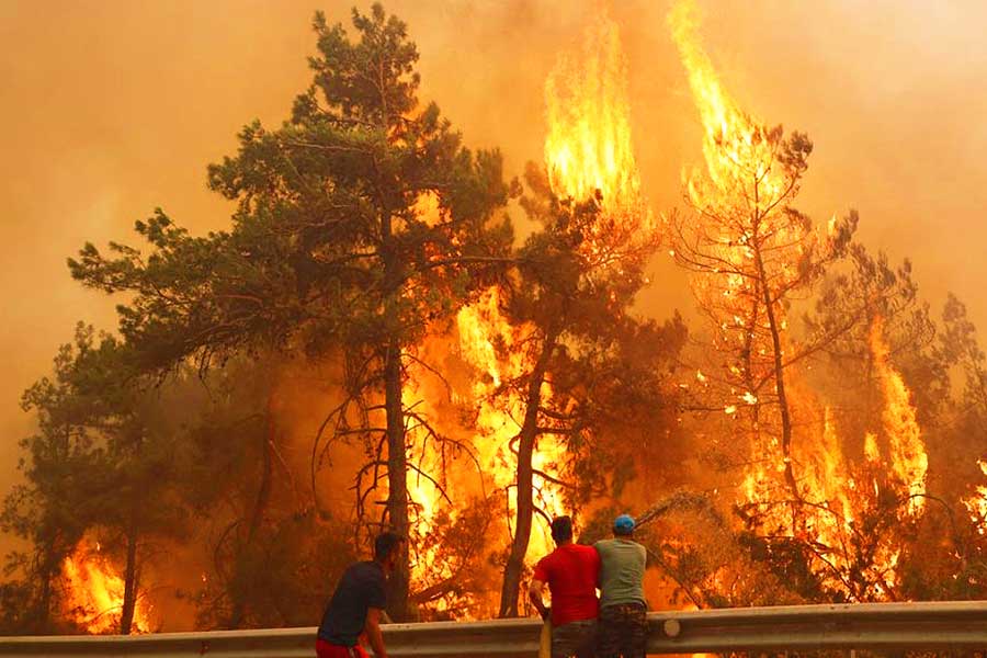 Turquía, incendio forestal en Datça