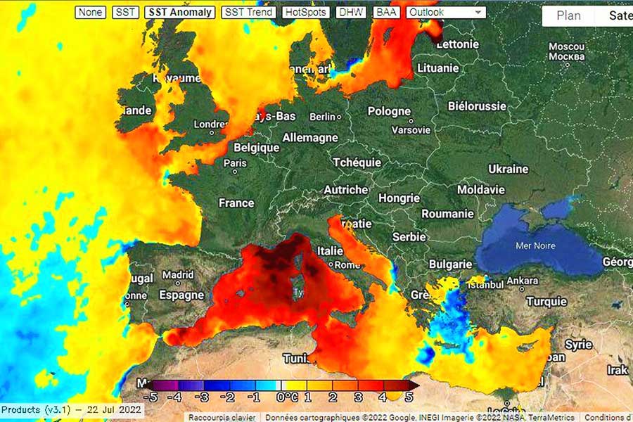 climate change, rise in sea temperatures