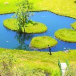 Turkey, tourism, floating islands
