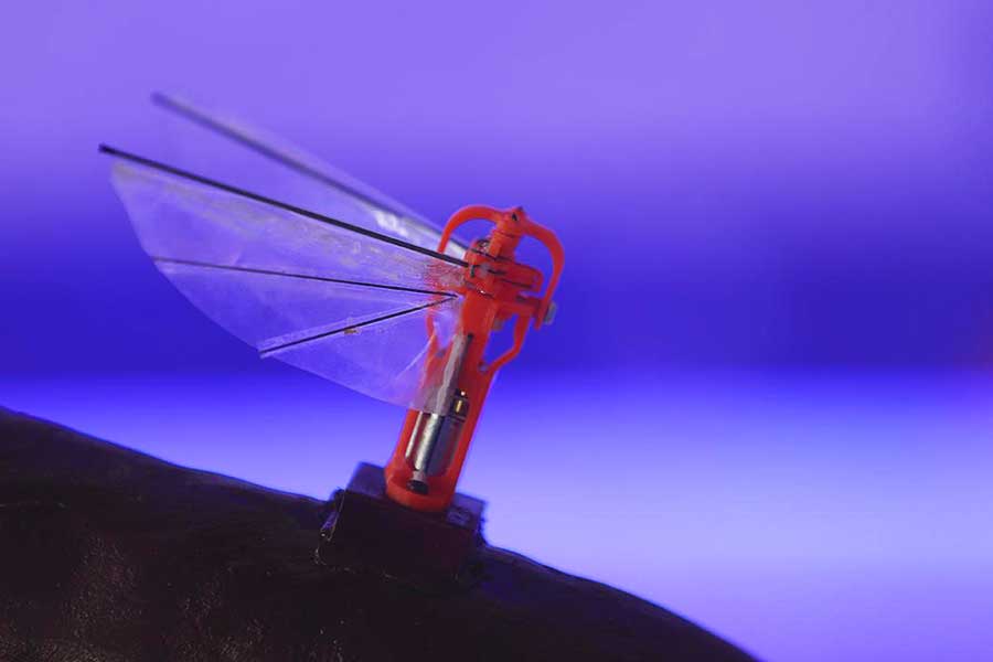 dron insecto de ASELSAN