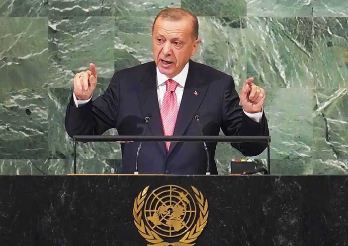 Erdoğan, United Nations