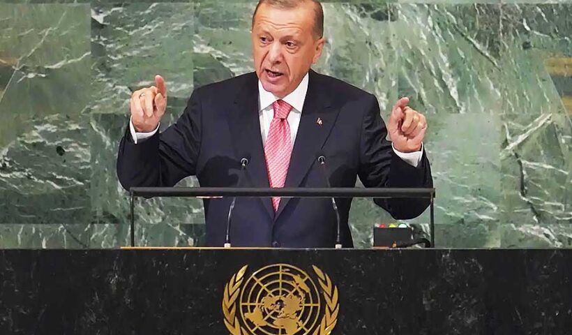 Erdoğan, United Nations