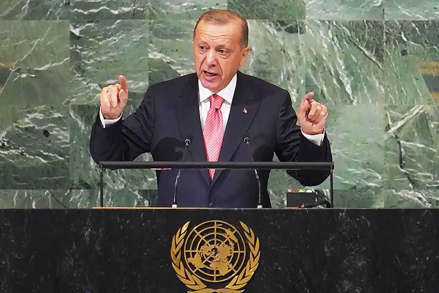 Erdoğan, United Nations