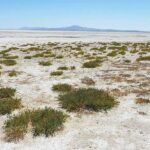 Turkey, Lake Seyfe dry