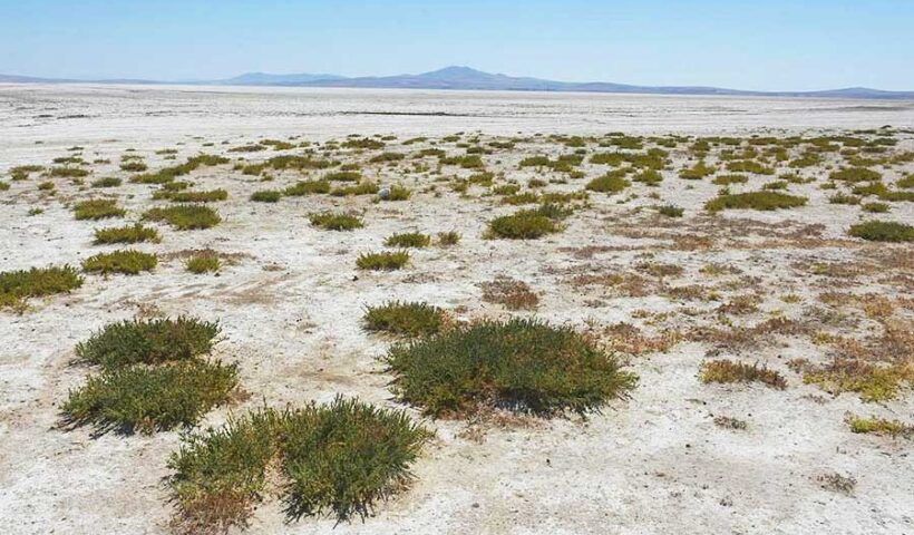 Turkey, Lake Seyfe dry