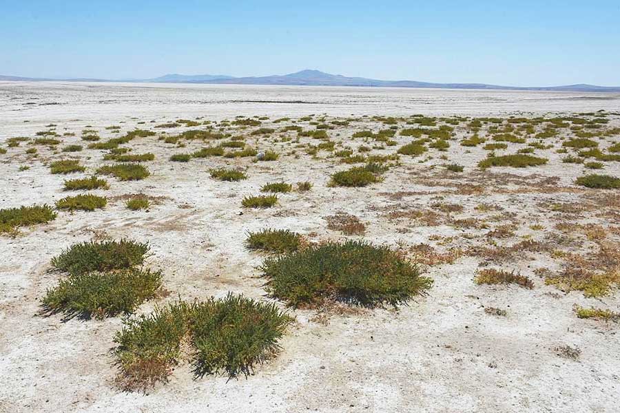 Turkey, Lake Seyfe dry