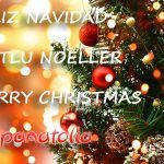FELIZ NAVIDAD, MUTLU NOELLER, MERRY CHRISTMAS