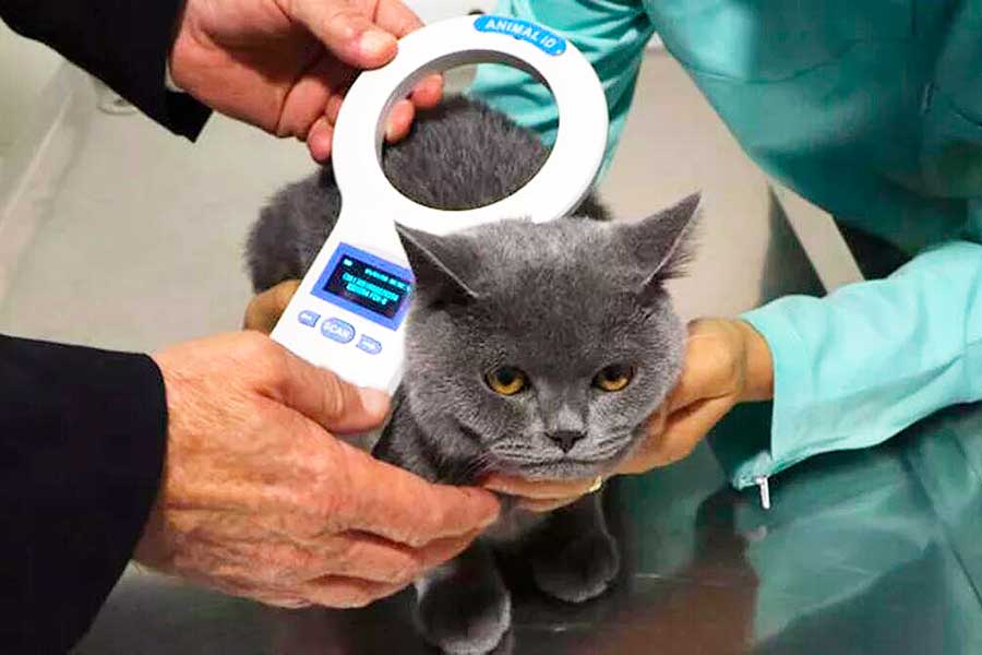 Turkey, microchip for pets
