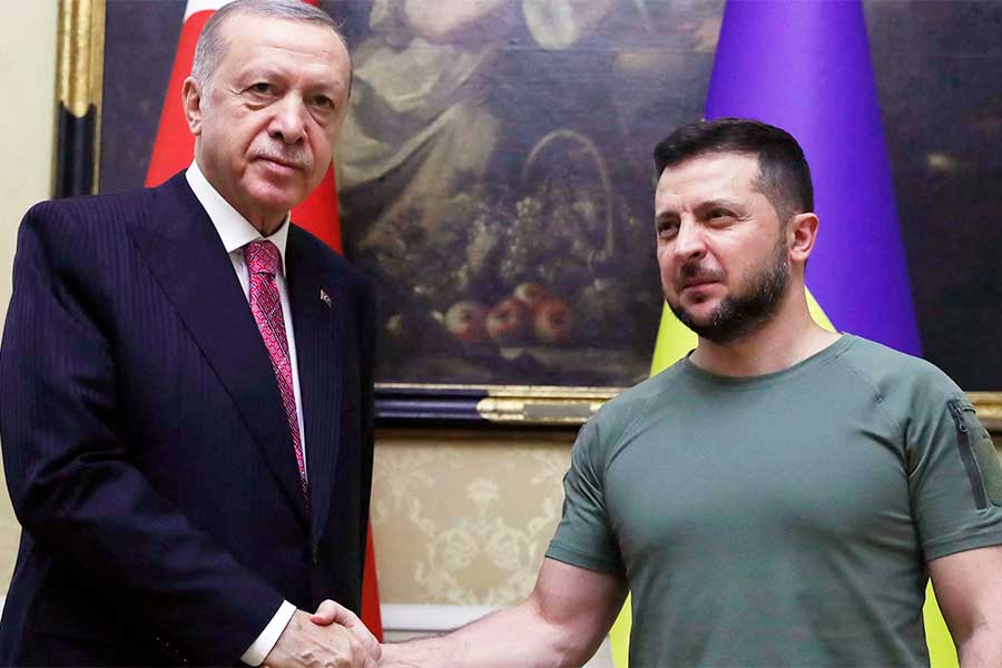 Turkey's Erdoğan, Ukraine's Zelensky