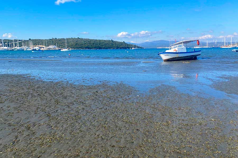 Turkey, sea receded in İzmir after the earthquakes