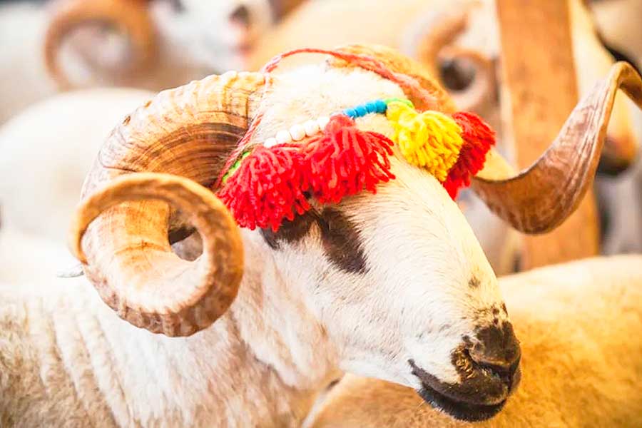 Feast of Sacrifice