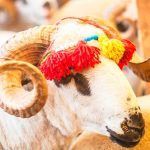 Fiesta del Sacrificio