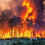 incendios forestales en Turquía