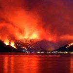 Turquía, imagen de los incendios forestales de 2021