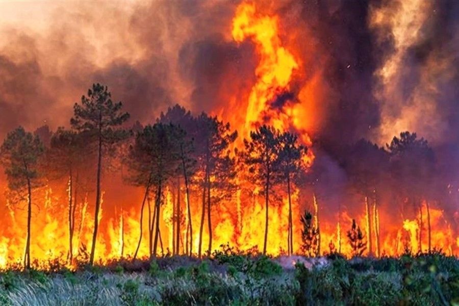 wildfires in Turkey