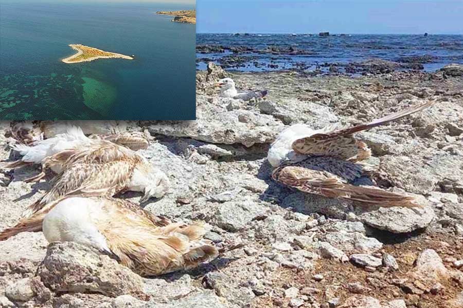Turkey, drought in Lake Van