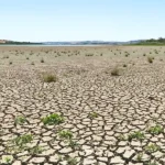Turkey, drought