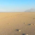 Turkey, flamingos dead by drought in Lake Tuz