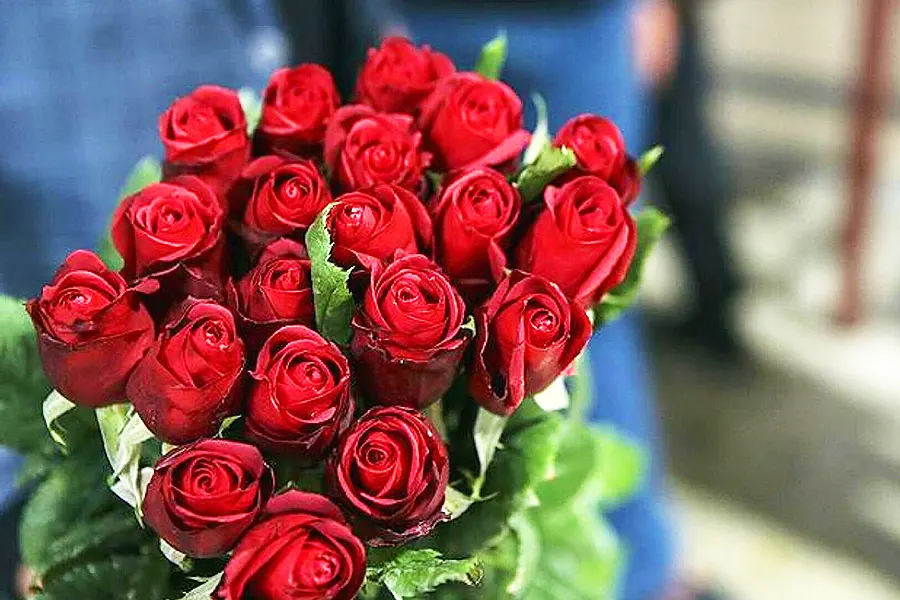 rosas, 14 de febrero, San Valentín, Día de los Enamorados
