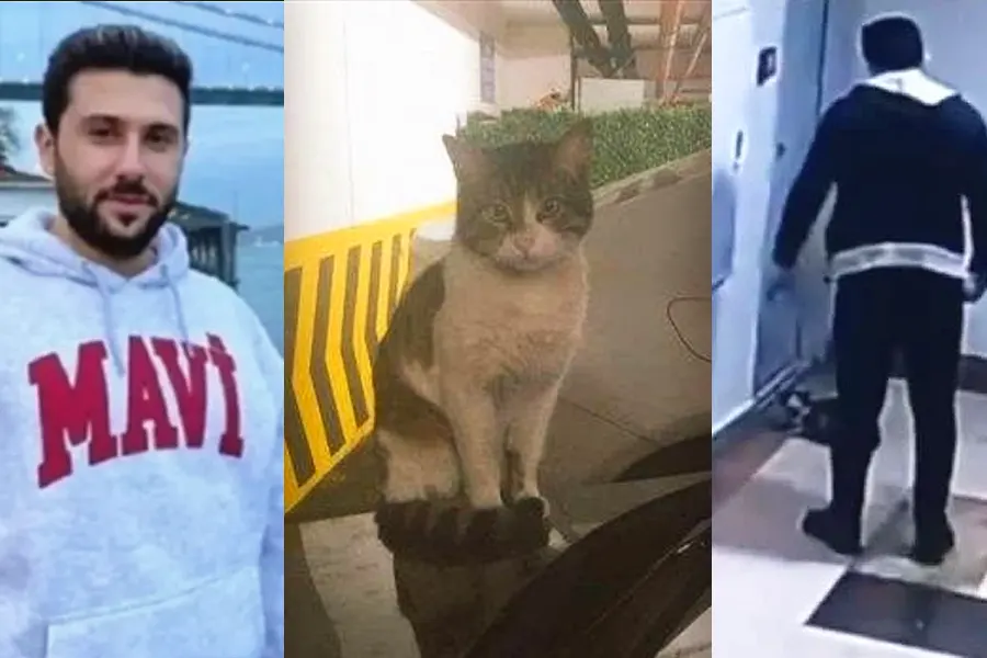 Turkey, cat murder trial