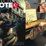 Turquía recuerda al perro mexicano Proteo