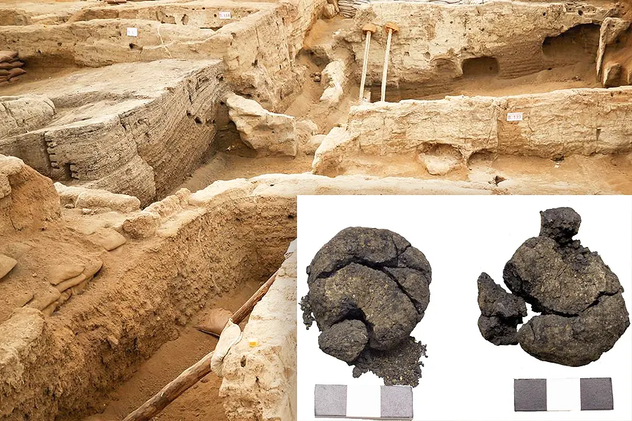 Archaeology, bread discovered in Çatalhöyük