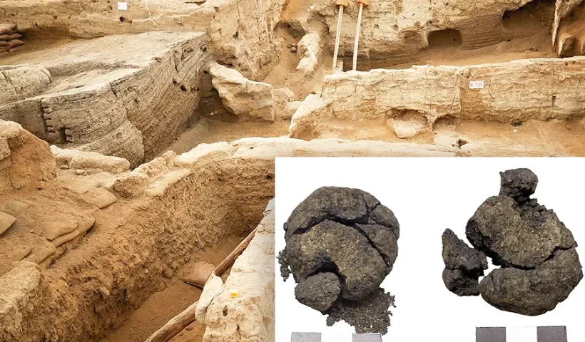 arqueología, pan descubierto en Çatalhöyük