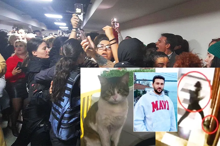 juicio por el asesinato del gato Eros