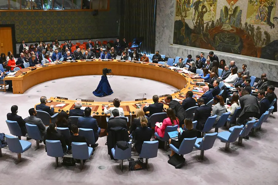 UN Security Council