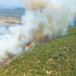 Turkey, wildfire in Bodrum