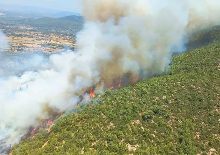 Turquía, incendio en Bodrum